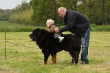 ENFANT ET CHIEN 397